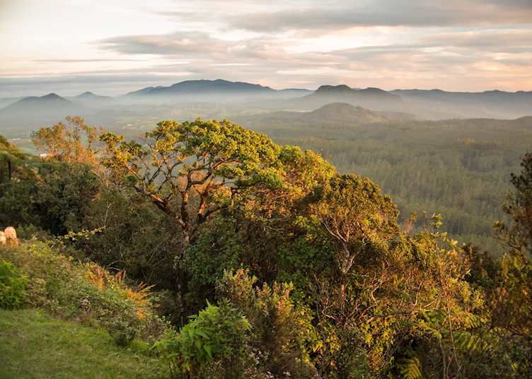 Sunrise in Horton Plains National Park