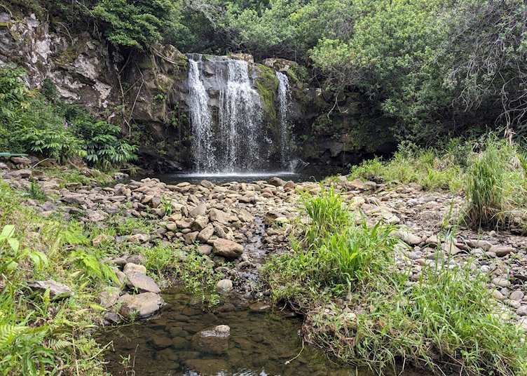 Kohala