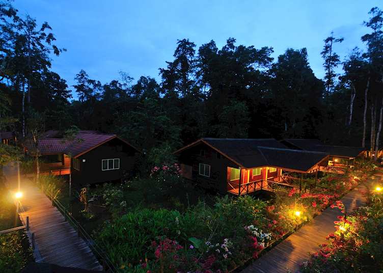Exterior, Abai Jungle Lodge