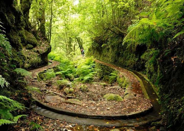 Levada, Madeira