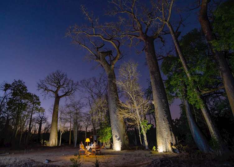 Dinner under the Baobabs, Anjajavy le Lodge