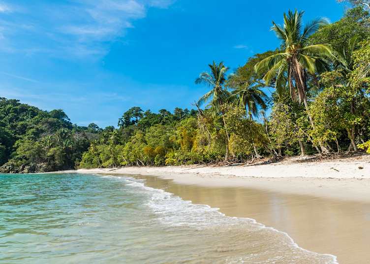 Beach in Manuel Antonio National Park