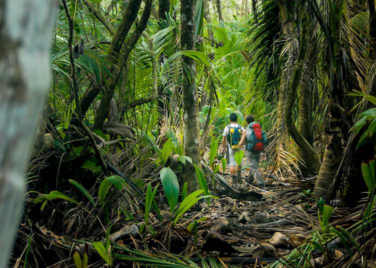 Hikers in Corcovado National Park