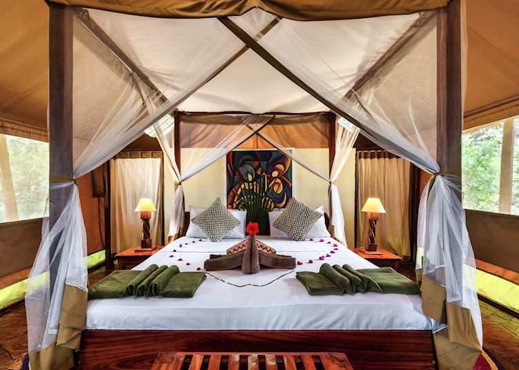 Selous Kulinda Camp, Deluxe Room 