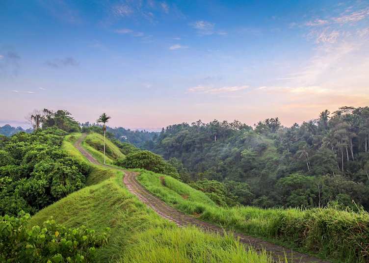 Campuhan Ridge Walk, Ubud