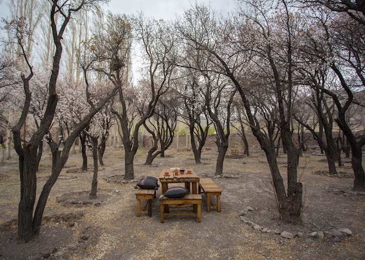 Dining in the midst of an orchard at Chulli Bagh