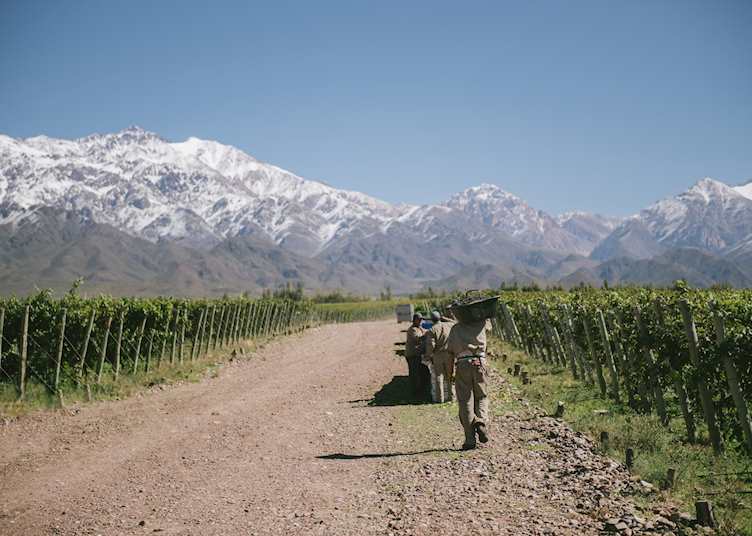 Wine region, Casa de Uco