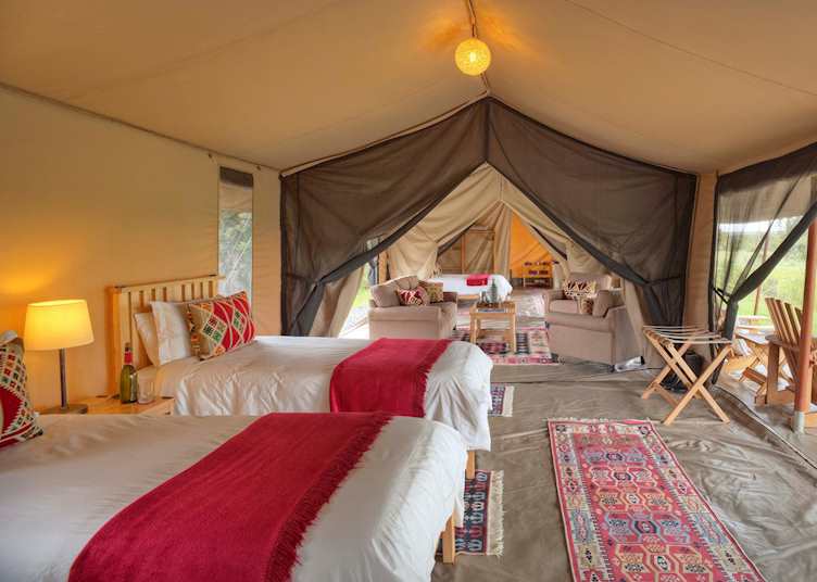 Ol Pejeta Bush Camp, Family Room 