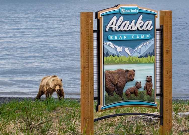 Alaska Bear Camp Introduction