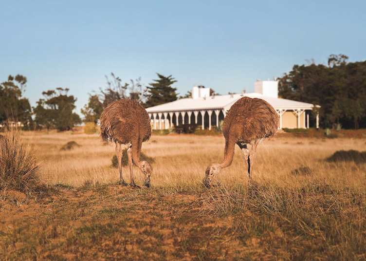 Lodge, Estancia Rincon Chico 