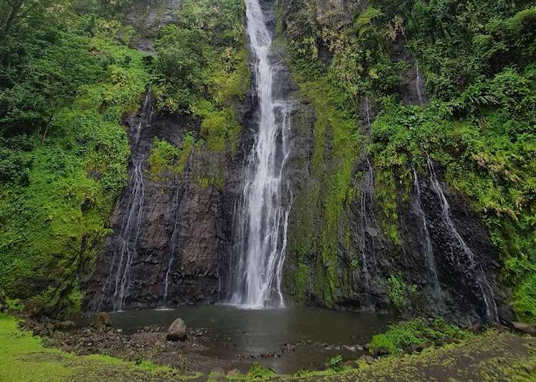 Private Tahiti & Her Islands Museum with guided tour, Half Day : Private Tahiti & Her Islands Museum with guided tour, Half Day - introduction, Tahiti