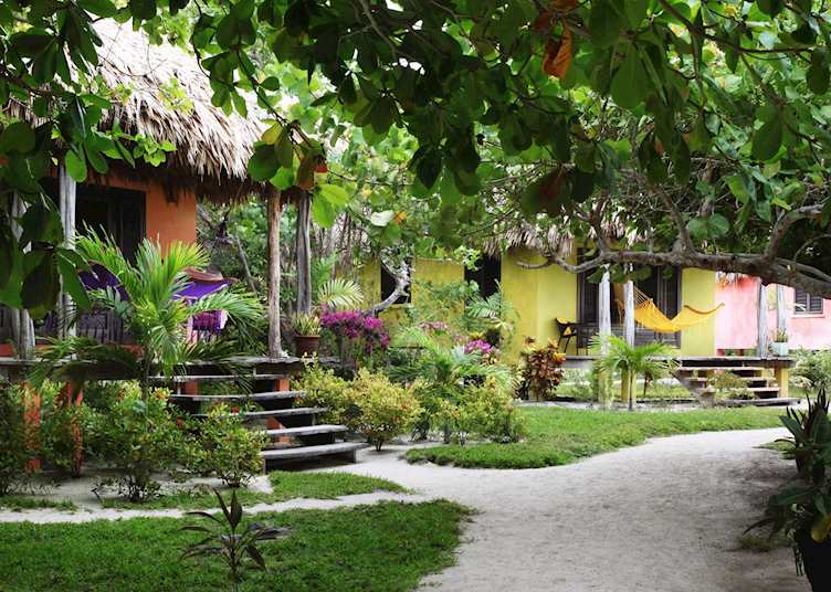 Matachica,  Belize