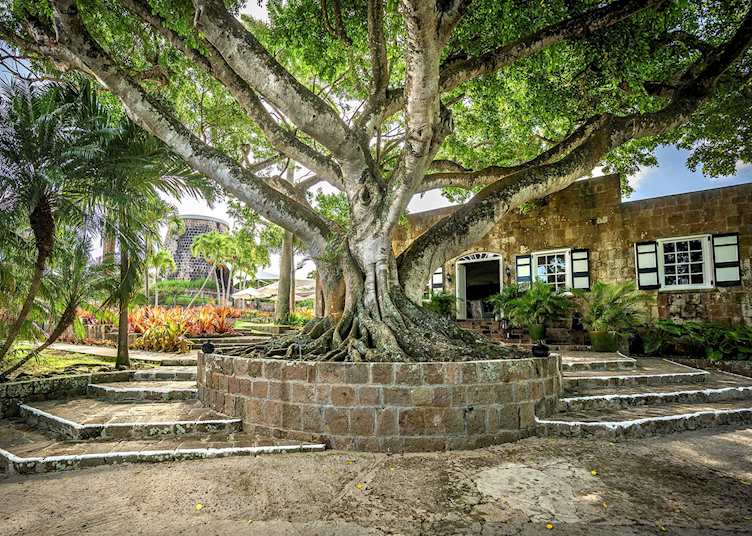 Entrance, Montpelier Nevis 