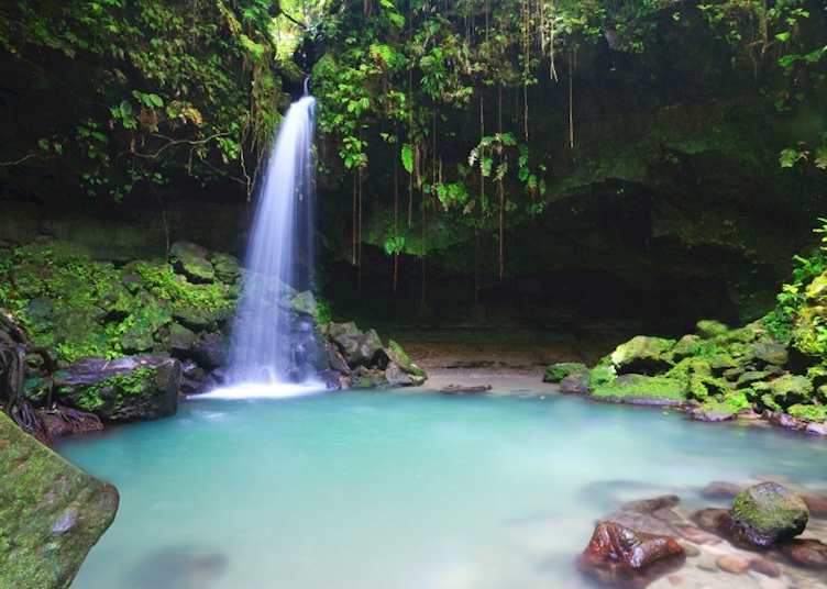 Emerald Pools visit from Jungle Bay