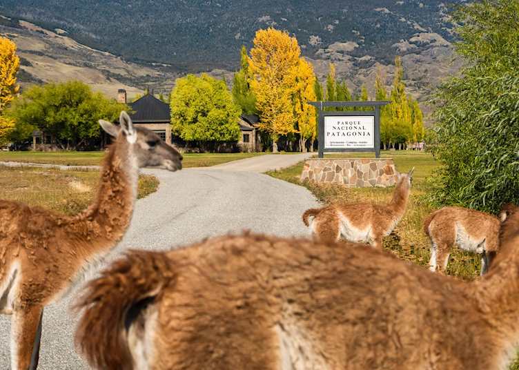 Exterior, Explora Patagonia National Park