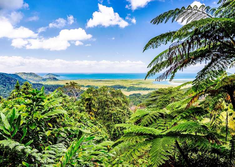 View from Alexandra Lookout in Daintree Rainforest, Queensland