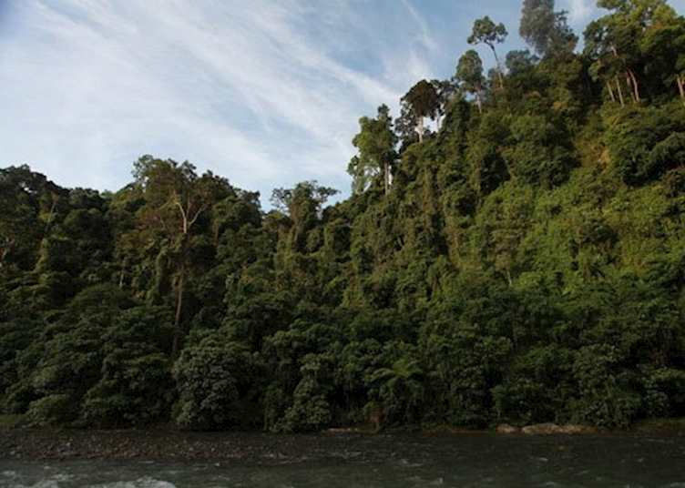 Bukit Lawang National Park, Indonesia