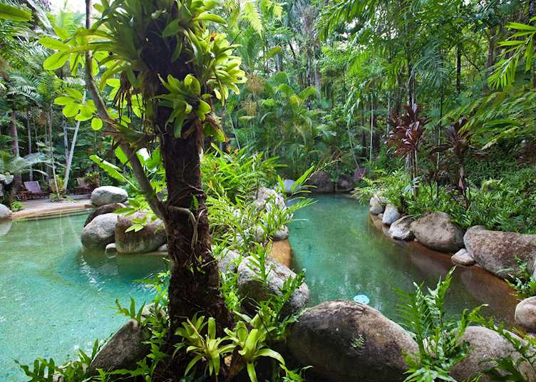 Swimming Pool at Silky Oaks