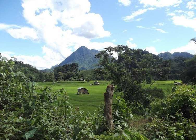 Trekking scenery around Nong Khiaw, Laos