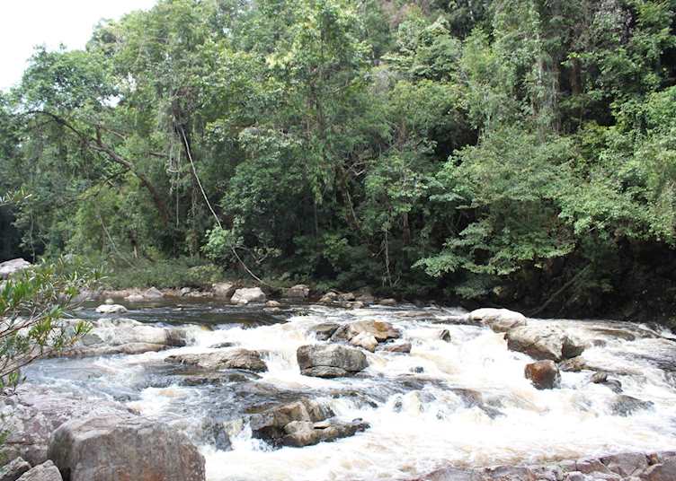 Taman Negara National Park