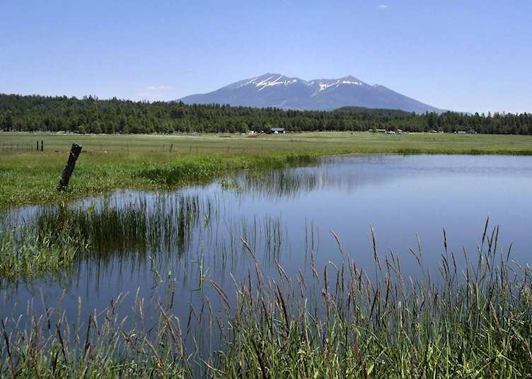 Meadow pond near Flagstaff