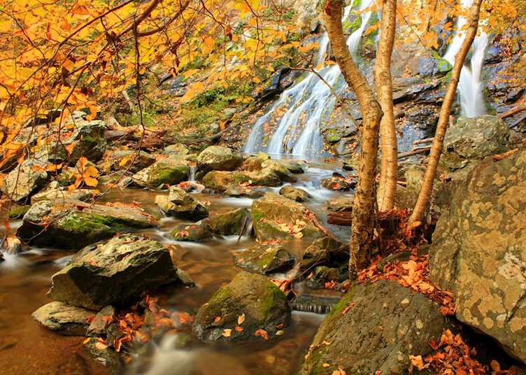 Autumn in Shenandoah National Park