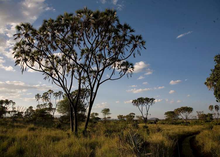 Meru National Park, Kenya