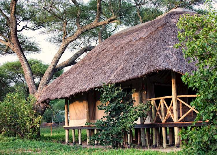 Tarangire River Camp, Tarangire National Park