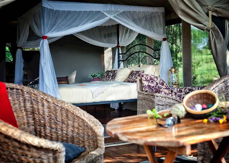 Tarangire River Camp, Tarangire National Park