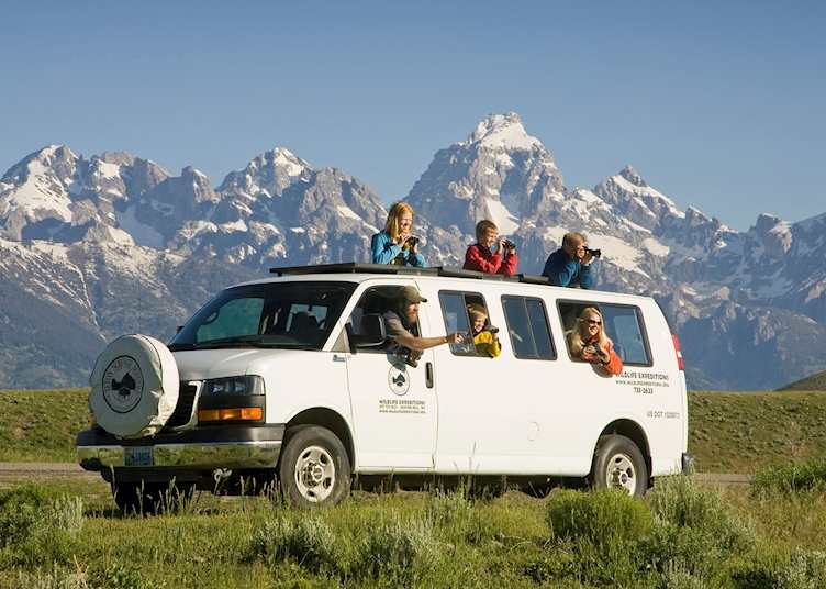 Wildlife viewing in Grand Teton National Park