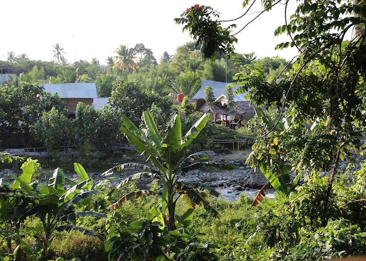 View from the Restaurant, Bukit Lawang Eco Lodge