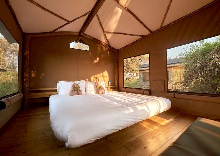 Oddballs' Camp tent interior