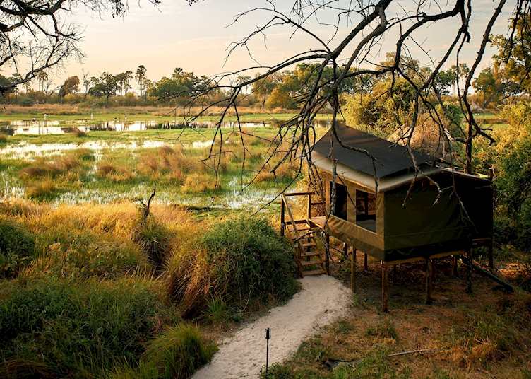 Oddballs' Camp, room with a view
