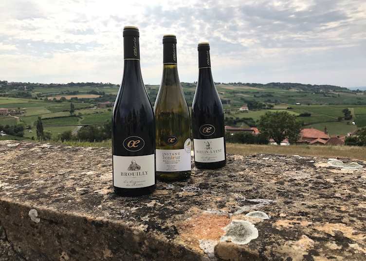 Beaujolais wine region, Lyon