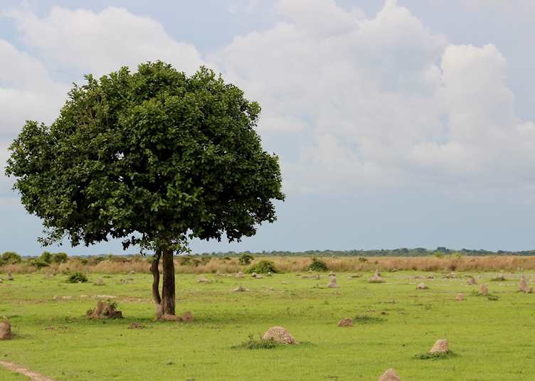 Los Llanos