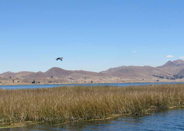 Lake Titicaca, Bolivia