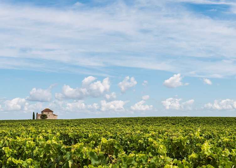 Médoc wine region, France