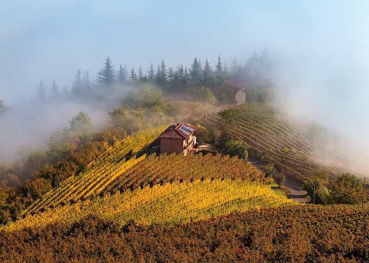 Langhe countryside, Piedmont