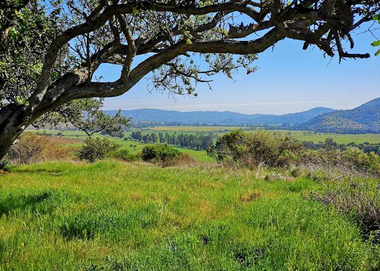 Scenery around the Casablanca Valley