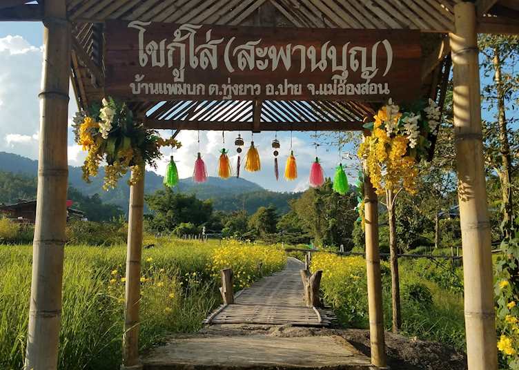 Path through the fields in Pai