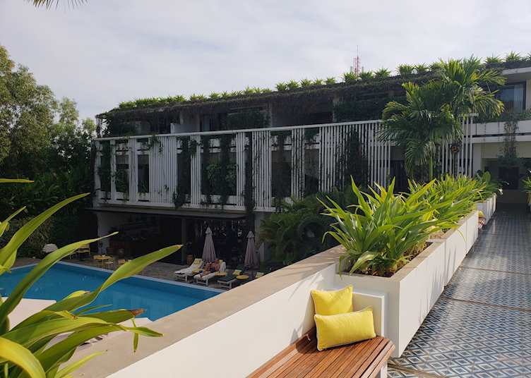 Viroth's pool area