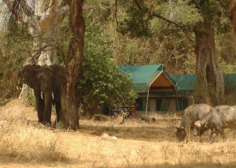 Mdonya Old River Camp, Ruaha National Park