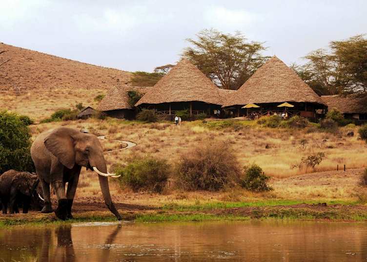 Tortilis Camp, Amboseli National Park