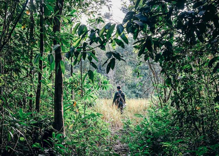 Trekking with Wildlife Alliance Rangers, Shinta Mani Wild