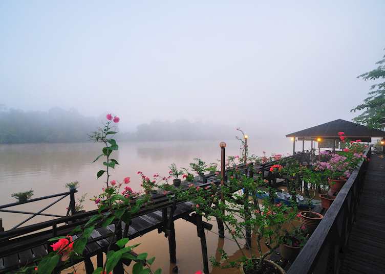 Mist over the river at Kinabatangan Riverside Lodge