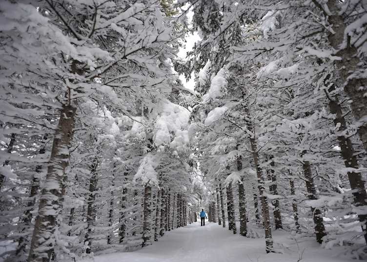 Canada in the winter