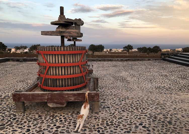 Antique grape press, Santorini