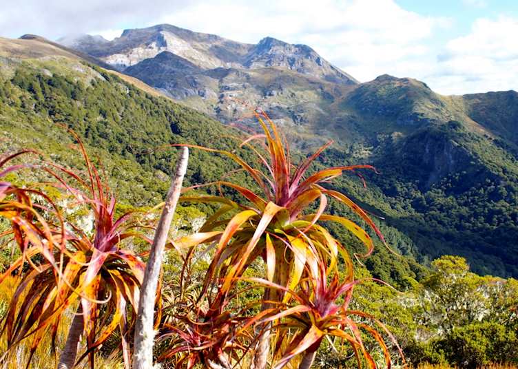 Kahurangi National Park