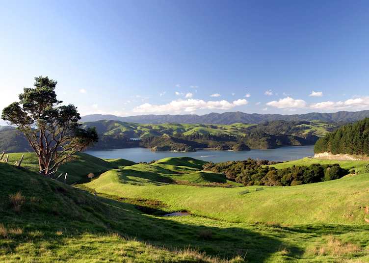 Waikato