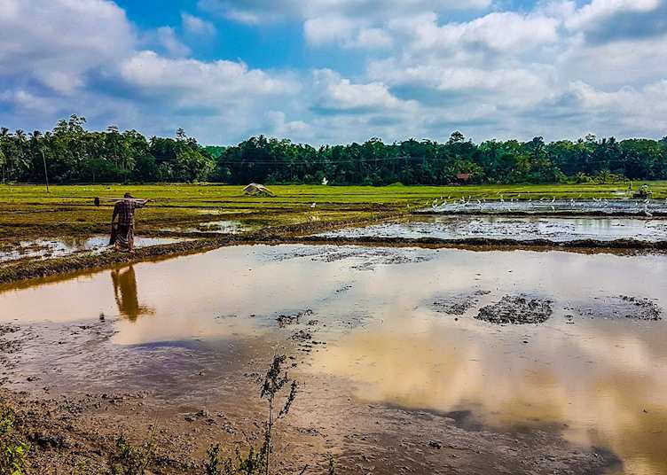 Galle countryside